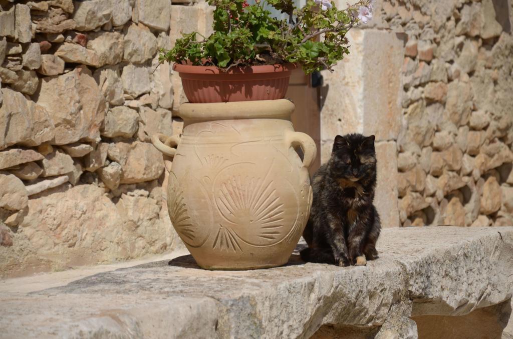 Casina Di Grotta Di Ferro Pensionat Santa Croce Camerina Exteriör bild